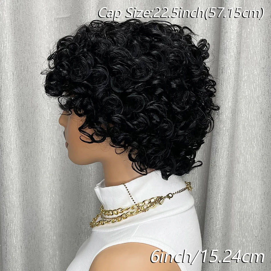 Curly Human Hair Wigs Short Glueless Curly Wigs Bob Wig Human Hair 100% Glueless Pixie Cut Wigs Human Hair Ready To Wear