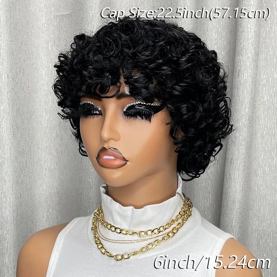 Curly Human Hair Wigs Short Glueless Curly Wigs Bob Wig Human Hair 100% Glueless Pixie Cut Wigs Human Hair Ready To Wear